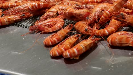 fresh, cooked prawns slide down conveyor belt onto the processing line, highlighting the care and cleanliness involved in preparing premium produce.