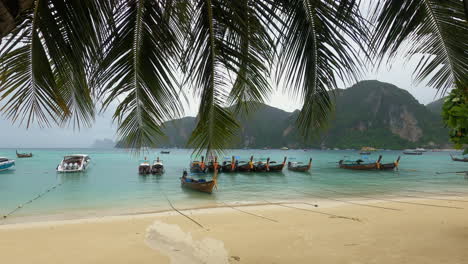 traditional boats moored on ton sai beach on phi phi island, krabi province, thailand