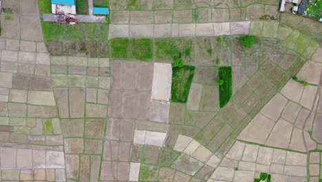 top-down of vast farmland in rural village in nepal