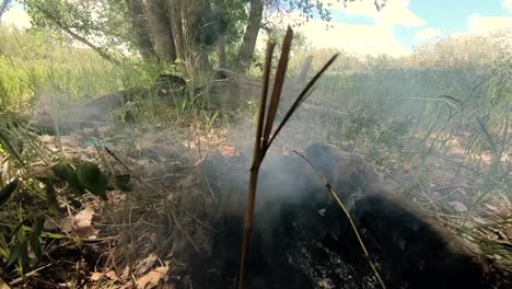 cámara lenta - humo de una fogata después de apagarla
