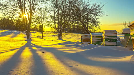 shadows creep across the snowy landscape as the yellow sunset passes by a farmer's beehives - time lapse