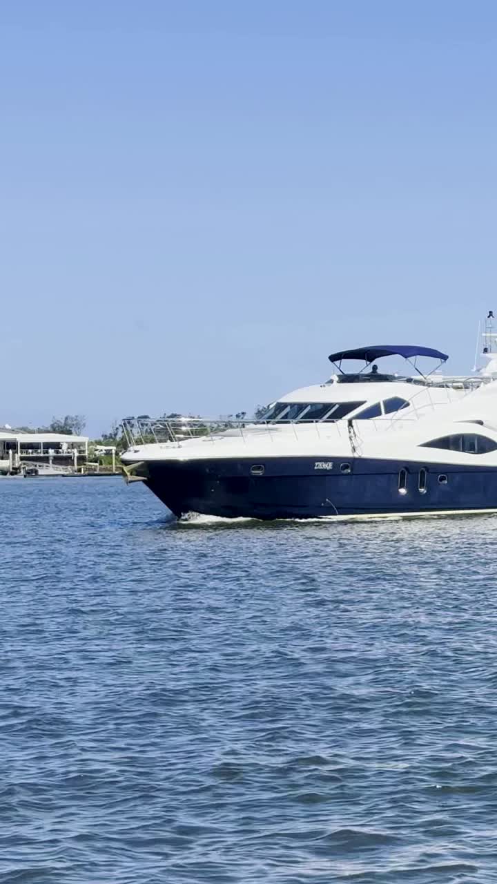 yate navegando con gaviotas en la costa dorada