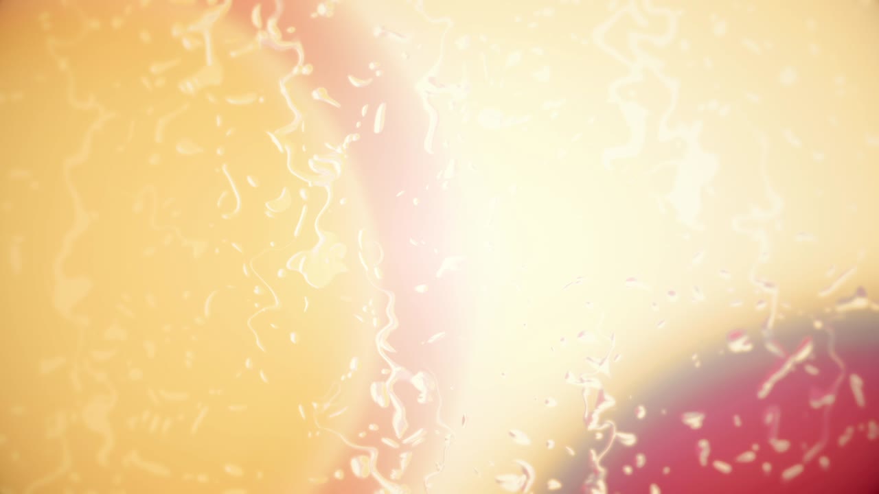 머스크멜론과 스플래싱 루프의 체리