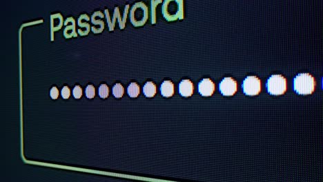 password entry screen on computer