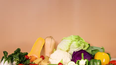 assorted vegetables arranged on a white background