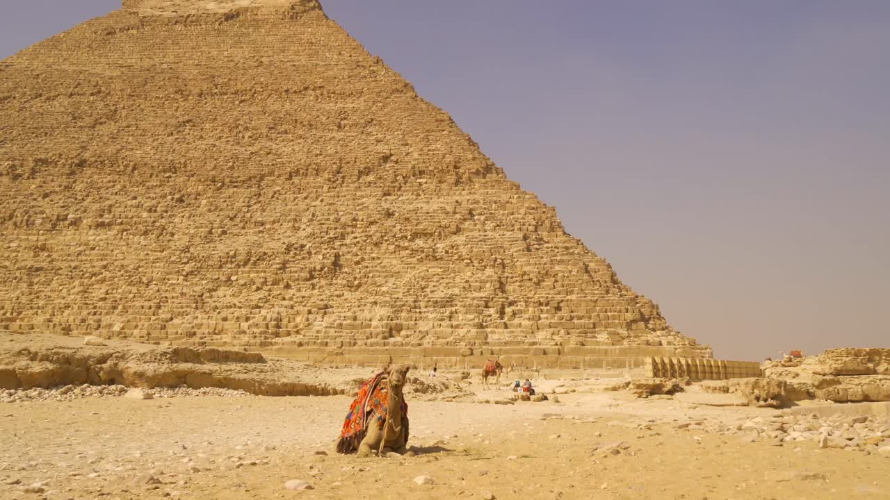 Piramidi di Giza e cammelli nel deserto egiziano
