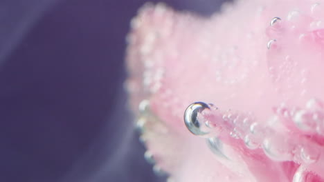 pink flower petals with bubbles