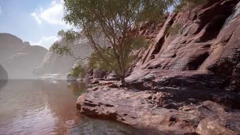 panoramic view of colorado river