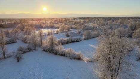 aerial view out over beautiful big fields with lots of trees in a snowy landscape on a sunny day in karlskrona, south of sweden-1