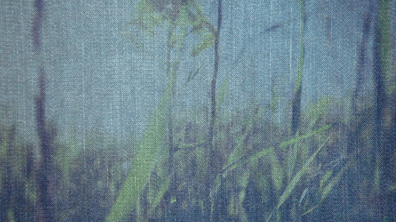 animación de denim sobre flores y hierba en movimiento