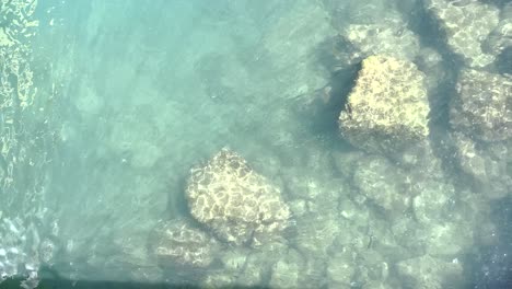 transparent ocean water gently swaying against a rocky coastal backdrop