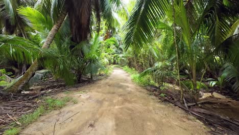 Slow-motion-walk-on-sandy-pathway,-coconut-palm-trees-on-both-side,-Mahe-Seychelles