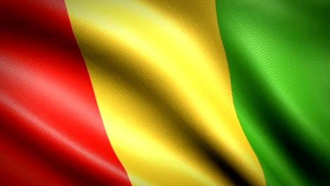 guinea flag. seamless looping animation. 4k high definition video