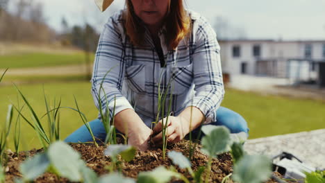 woman gardening and planting vegetables in a raised garden bed