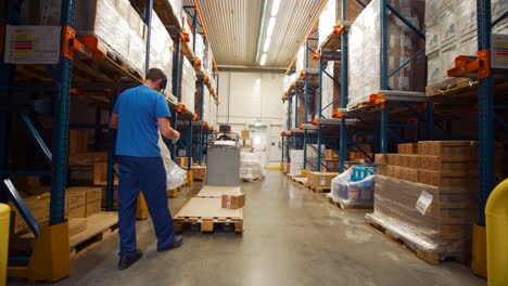 warehouse worker and forklift in a large cold storage facility