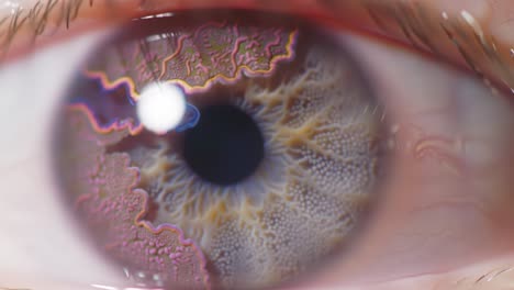 a close-up exploration of a unique eye: natural patterns and intricate details revealed through macro photography