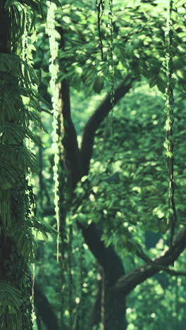 jungle canopy closeup