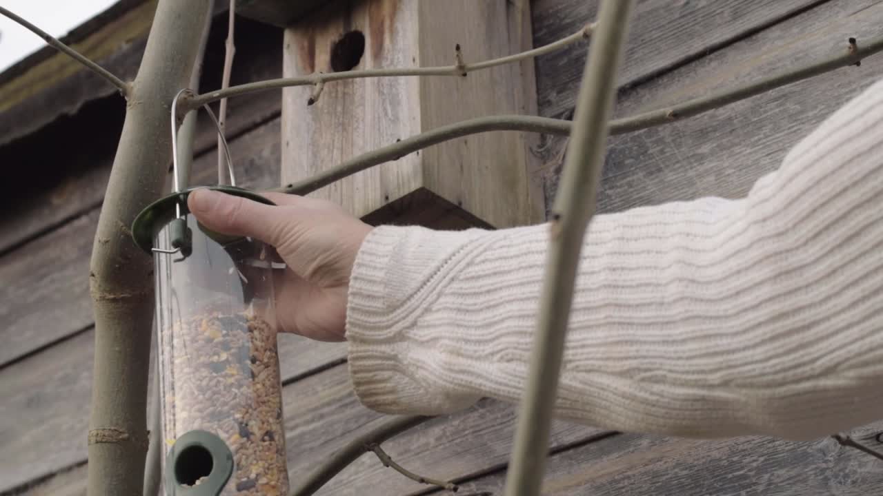 야생 조류 씨앗이 가득한 새 모이통을 나뭇가지에 손으로 매달아 놓기