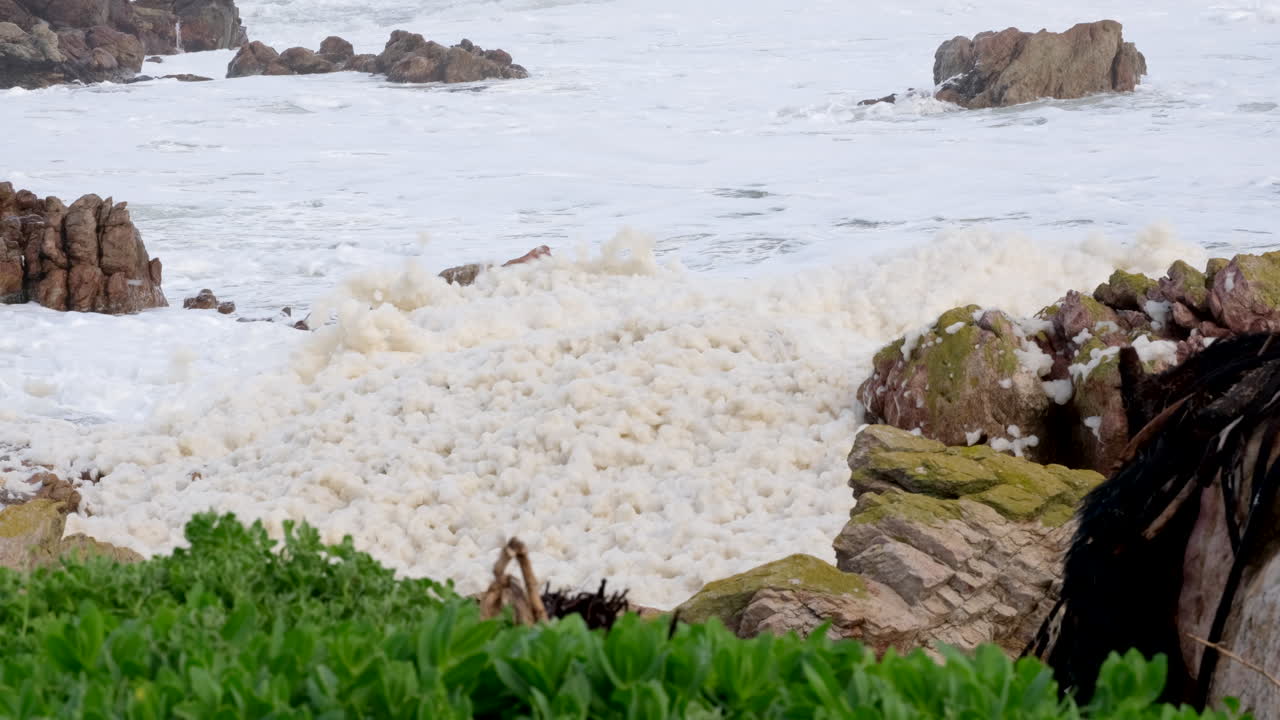Sea foam from churning wave action blown onto rocky coastline in South Africa