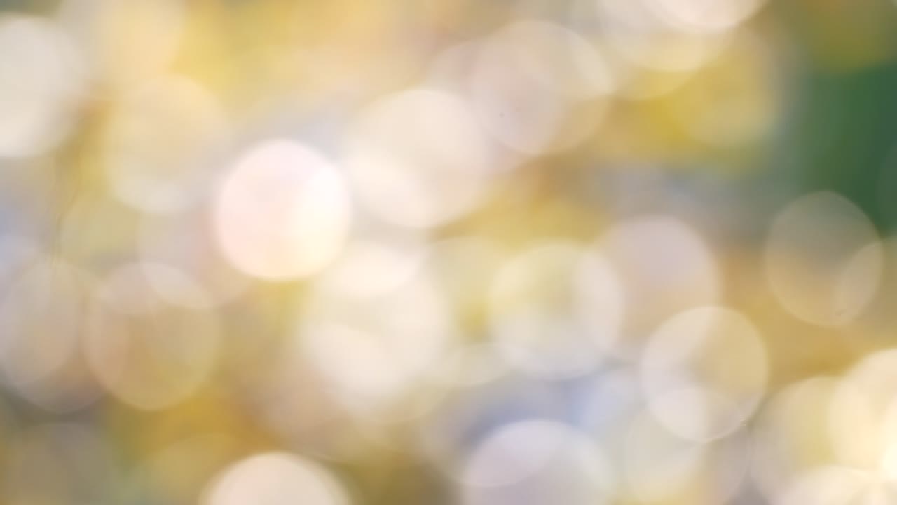 un hermoso bokeh de fondo de un patio trasero al aire libre