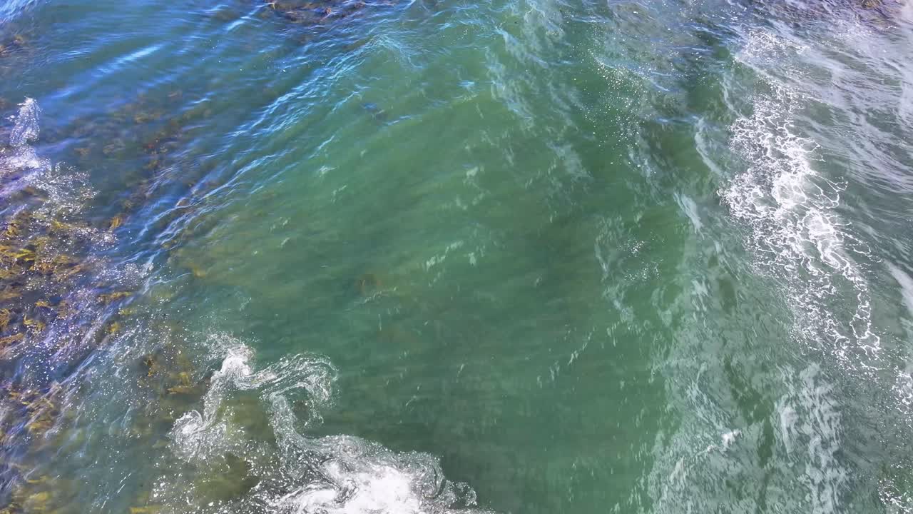 Een kalm waterlichaam met zeewier op de bodem wordt getoond in de video met een lichtgroene kleur.
