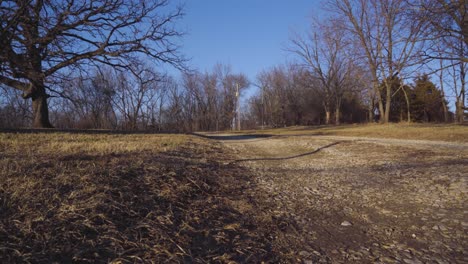 and old gravel road surrounded by trees