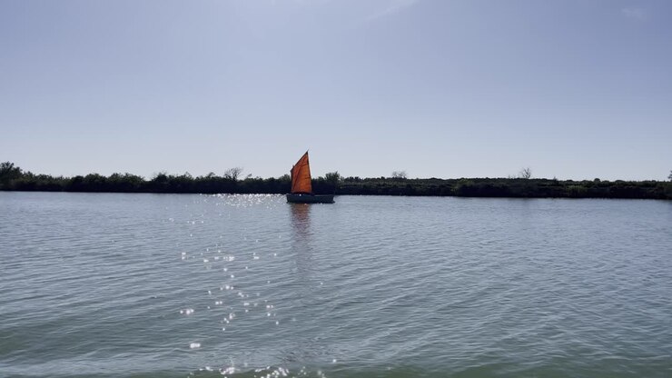 Piccola barca a vela su un ampio fiume in Francia, immersa nella natura.