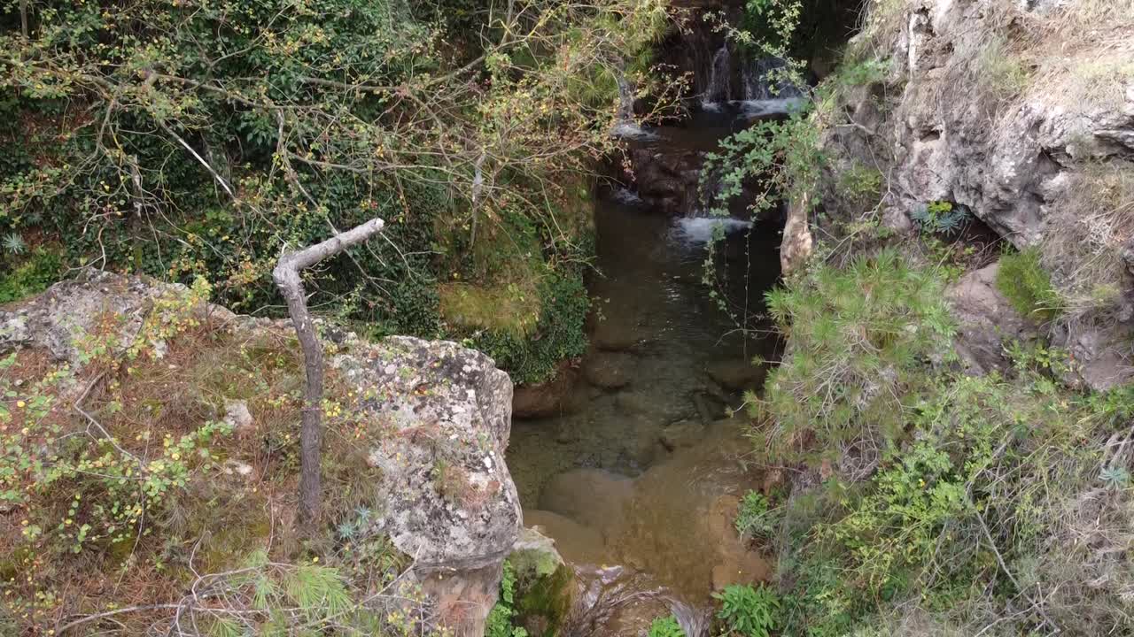 arroyo de montaña en un bosque de pinos en teruel