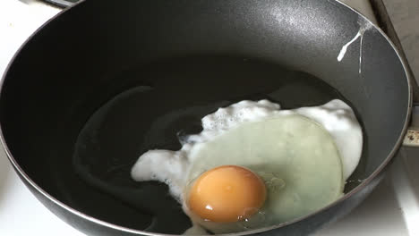 cooking an egg