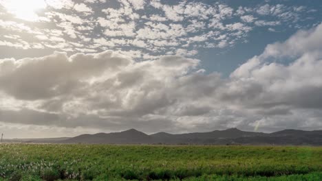 Lapso-De-Tiempo-Del-Campo-De-Caña-De-Azúcar-Y-El-Paisaje-En-Un-Hermoso-Día-Con-Nubes-Moviéndose-Por-Encima-De-La-Cabeza