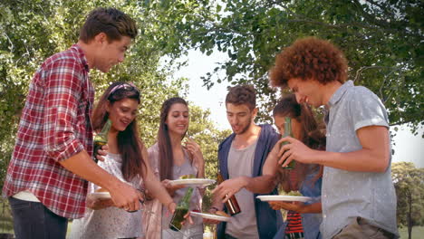 In-Hoher-Qualität-Format-Glückliche-Freunde-Im-Park-Beim-Grillen-