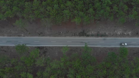 Vertikale-Luftaufnahme-Einer-Straße,-Die-Einen-Schönen-Kiefernwald-Spaltet