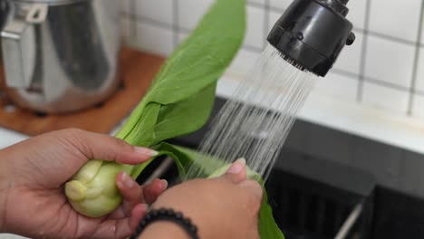 mujer lavando mostaza verde en la cocina se prepara para hacer un batido saludable con verduras