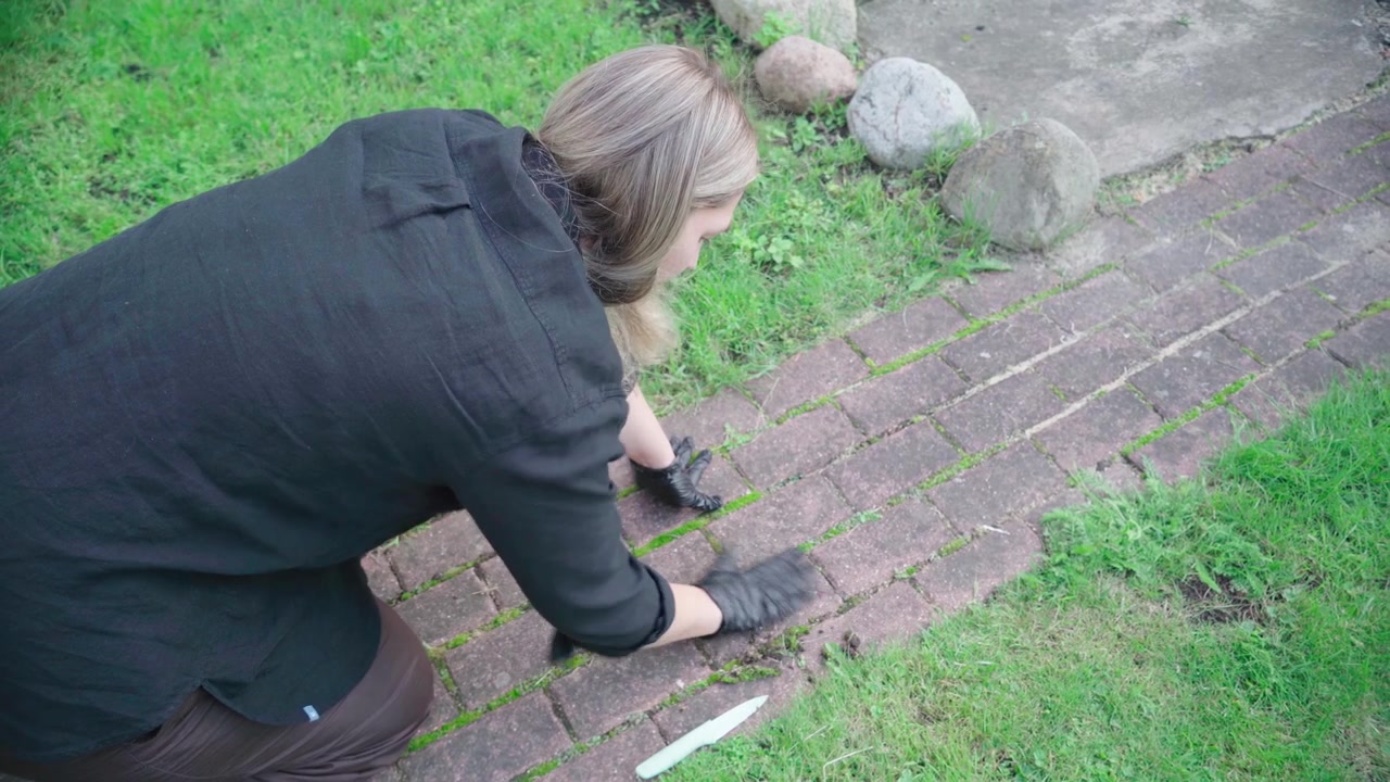 Person in dark clothing kneels to scrape and pull weeds from the joints of an aged brick path beside a lawn.