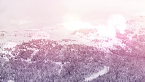 Spots-of-light-against-snow-falling-over-multiple-trees-on-winter-landscape