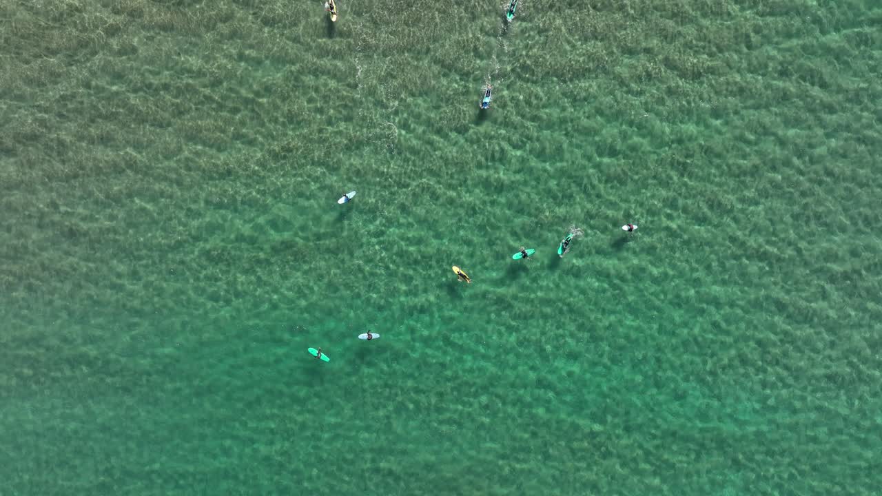 화창한 날 맑은 청록색 물에서 파도를 잡는 서퍼 그룹의 하향식 공중 샷