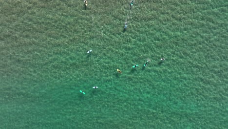 Top-down-aerial-shot-of-a-group-of-surfers-catching-waves-in-crystal-clear-turquoise-water-on-a-sunny-day