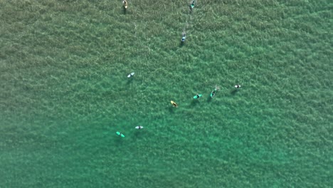 Toma-Aérea-De-Arriba-Hacia-Abajo-De-Un-Grupo-De-Surfistas-Atrapando-Olas-En-Aguas-Turquesas-Cristalinas-En-Un-Día-Soleado