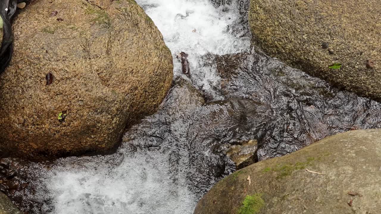 Clear water flows over smooth rocks in a rainforest stream, showcasing natural beauty and tranquility in Port Douglas, Australia