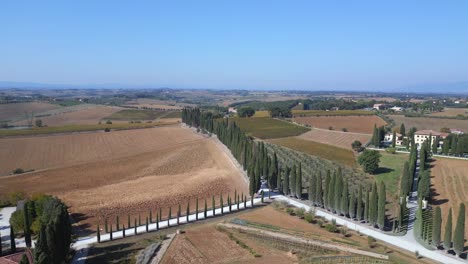 Perfekte-Luftaufnahme-Von-Oben,-Flug-Toskana,-Zypressenallee,-Straße,-Mittelmeer,-Italien,-Herbst-23