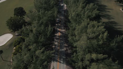 drone view of cars on highway between the pine trees and near the golf course
