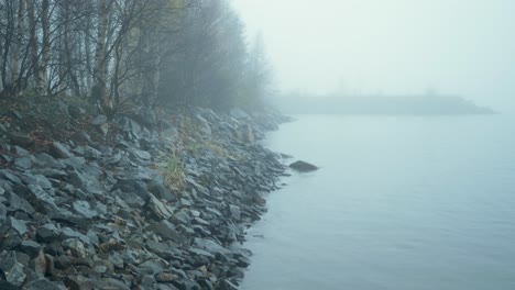 rocky wooden baltic sea shore during overcast wet cold day - crane up reveal wide shot