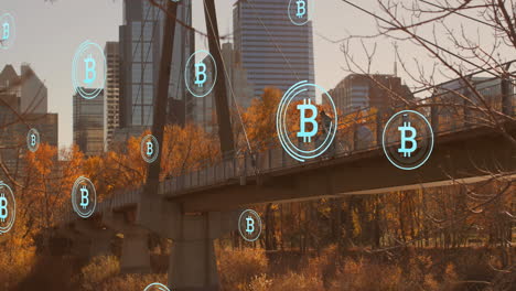 animación de múltiples iconos de bitcoin flotando contra la vista del puente de la ciudad.