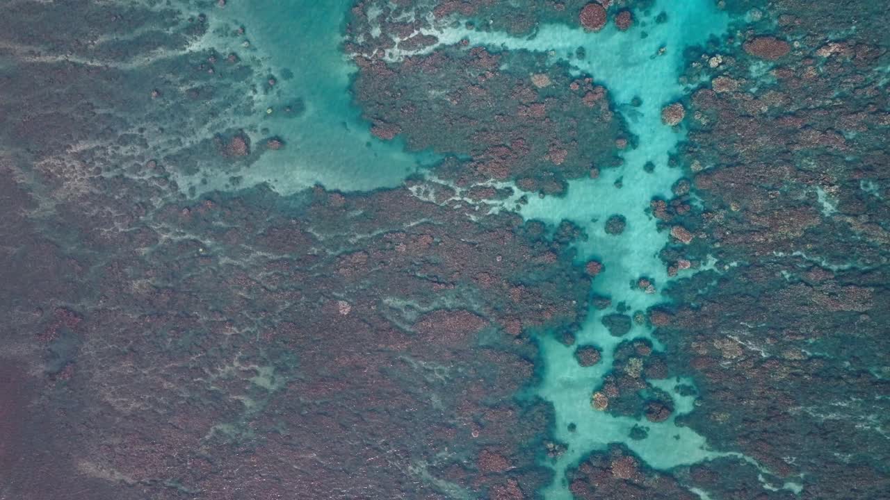 Una vista aérea de un arrecife de coral