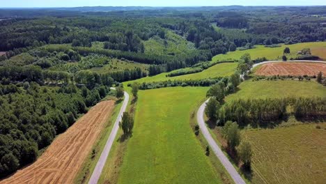 aerial shot of curvy country road surrounded by fields and trees