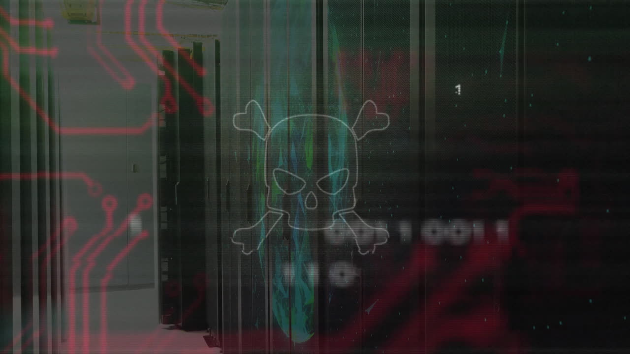 animación de cráneos y huesos, procesamiento de datos digitales a través de servidores informáticos