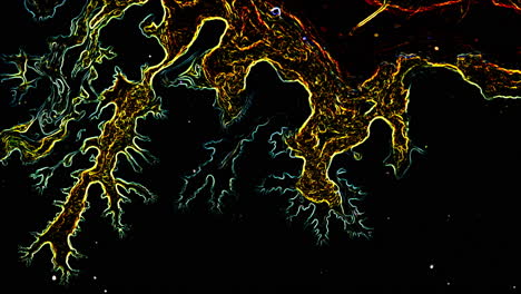 substances mixing under magnification, showcasing colorful flowing patterns