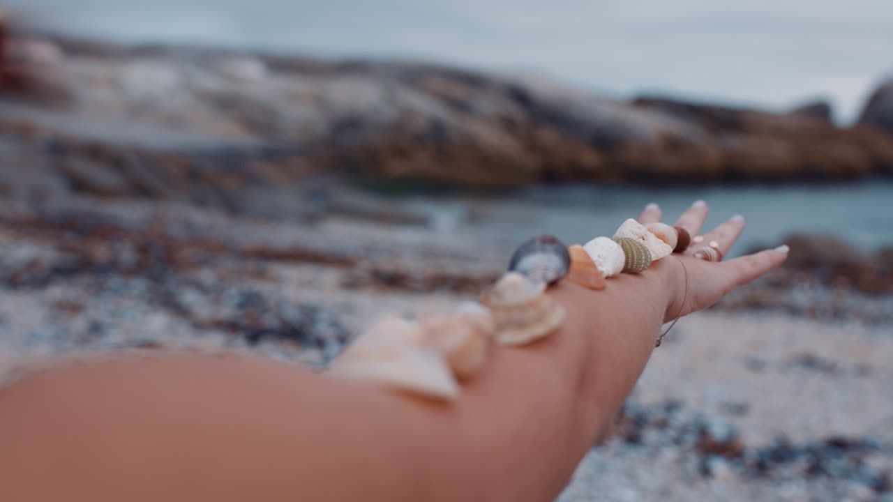 여름 휴가를 즐기는 팔에 아름다운 조개를 균형 잡고 있는 여성