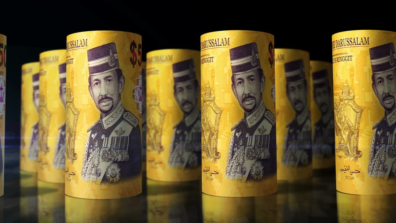 dólares de brunei billetes de dinero rodillos bucle sin costuras