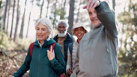 group of seniors hiking in a forest